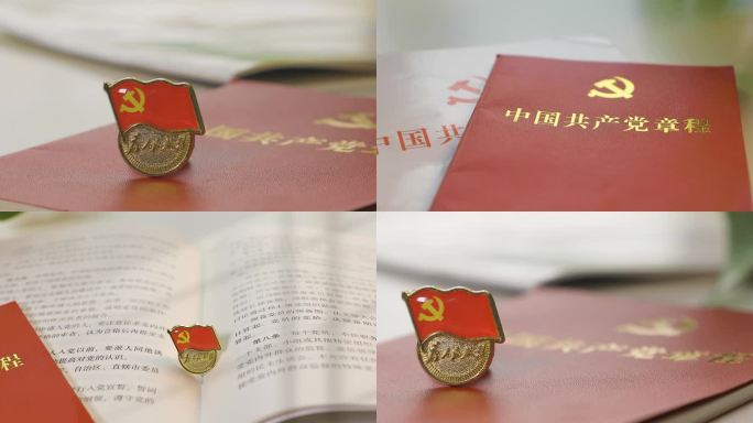 党徽 党旗 党建 章程 阳光下的党徽