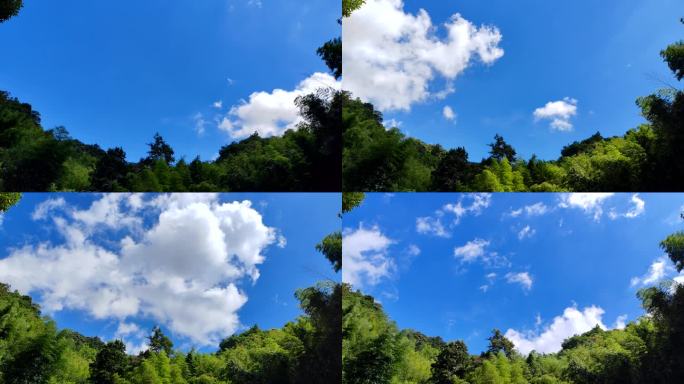 树林蓝天白云延时摄影素材