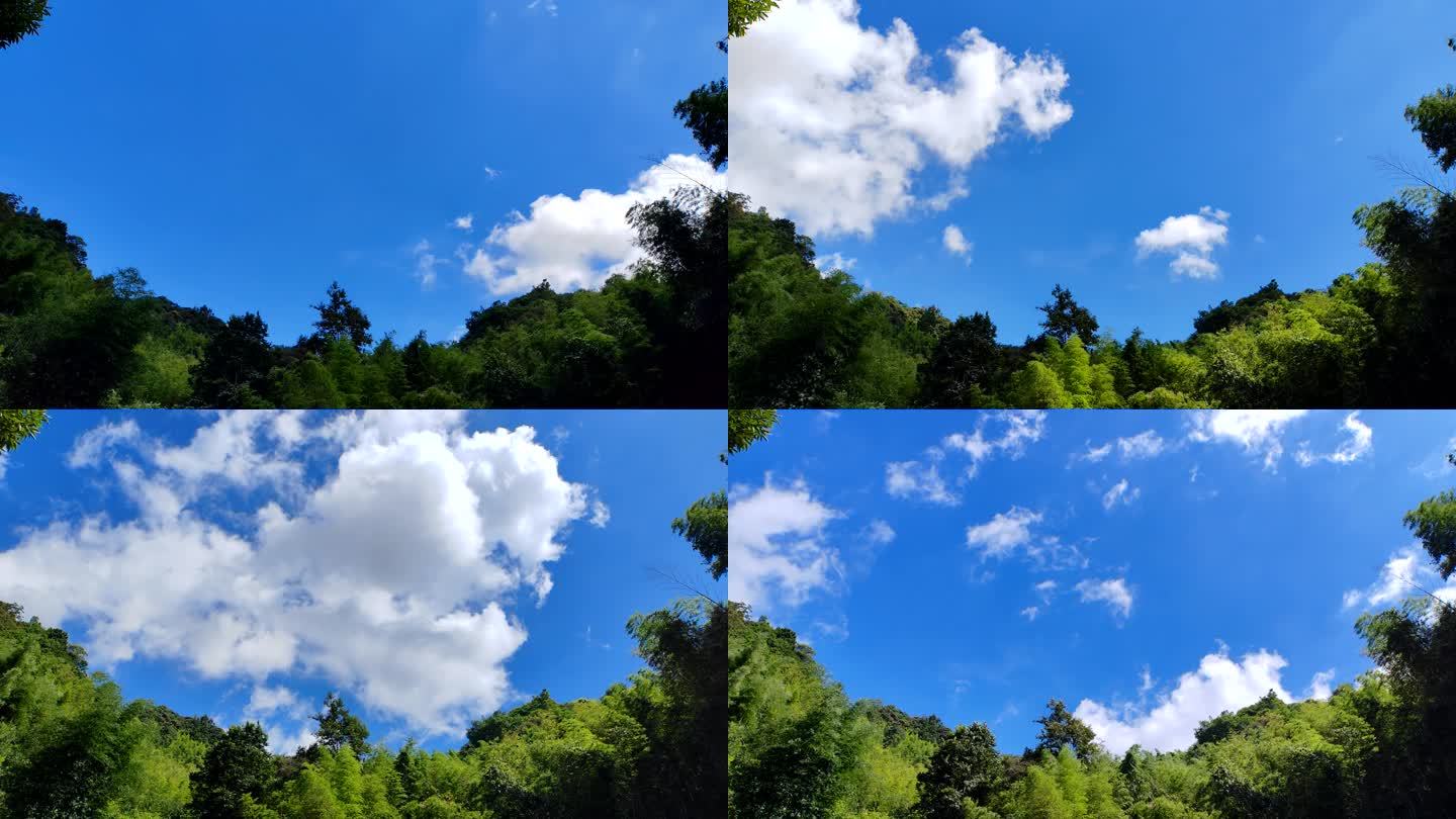 树林蓝天白云延时摄影素材