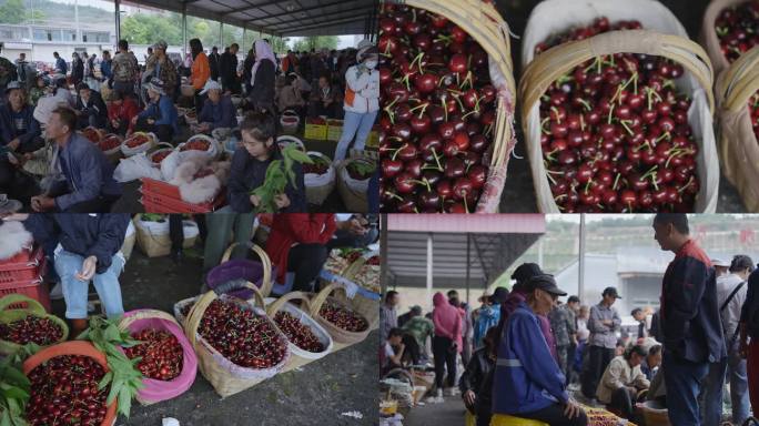 天水市烟铺村红樱桃采摘园商贩