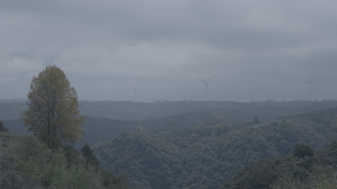 山顶秋季风景实拍