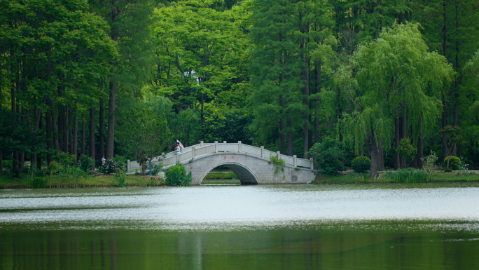 生态绿地 公园 夏日避暑 赏春