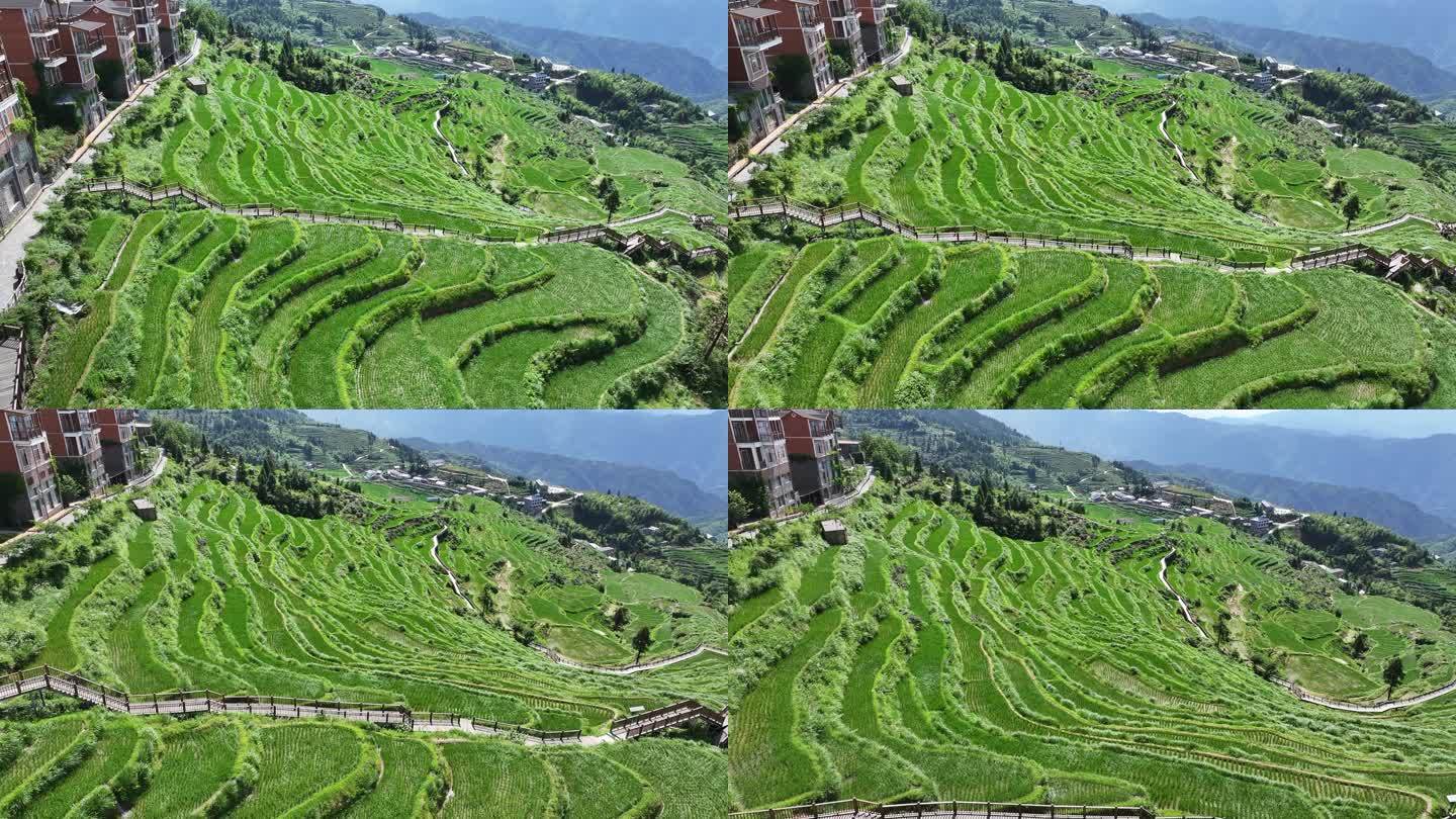 星空云舍 山背花瑶梯田漂流