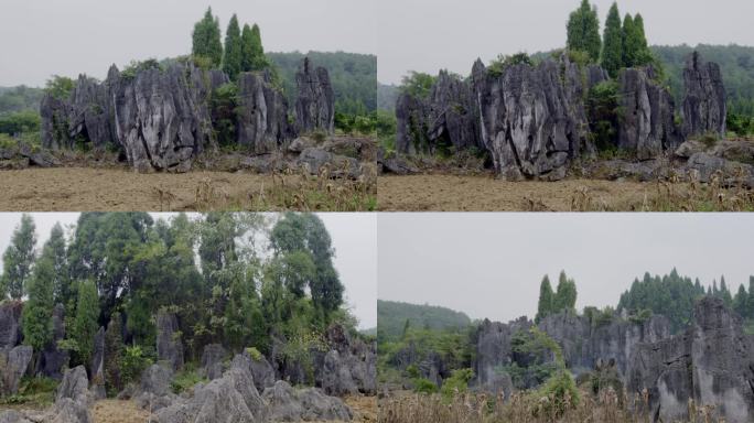 防治荒漠化