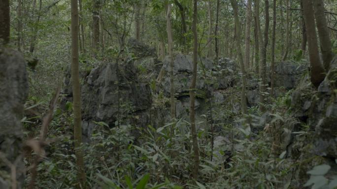 地表岩石裸露