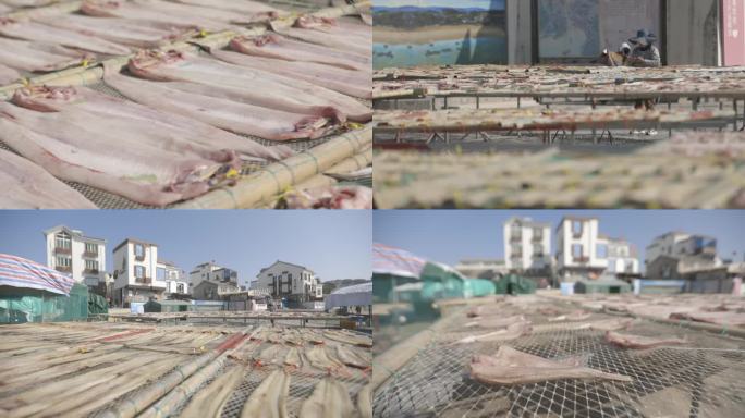 洞头海边晒鱼干海鲜海产特产1080p