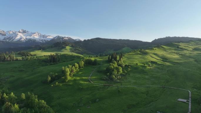 新疆美景高山、草甸、雪山、航拍、4k