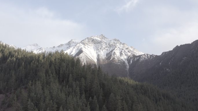 日照金山航拍