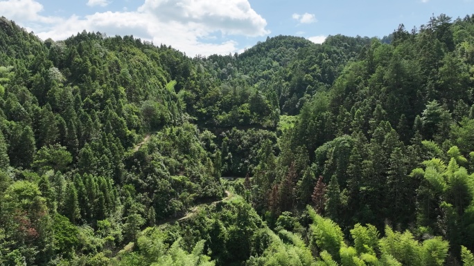 湖南枫香瑶寨