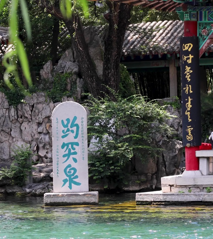 山东济南趵突泉景区柳树前景喷涌的泉水