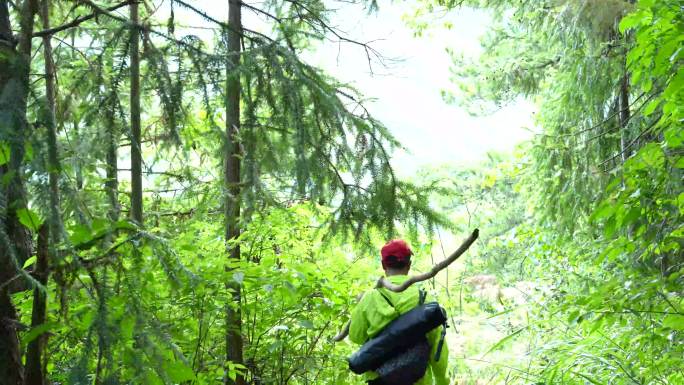 荒山野岭神秘采药人原始森林小路巡山寻野猪