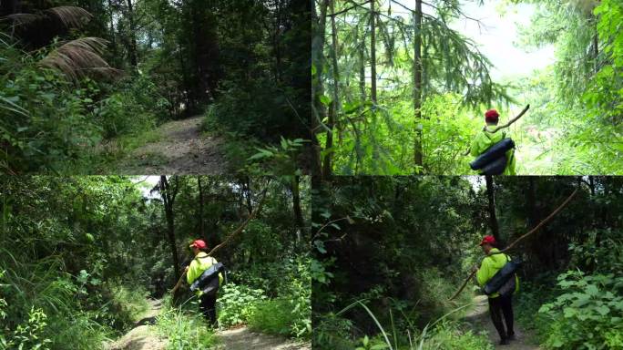 荒山野岭神秘采药人原始森林小路巡山寻野猪