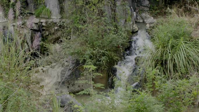 大自然溪水小瀑布水森林水源溪流风景