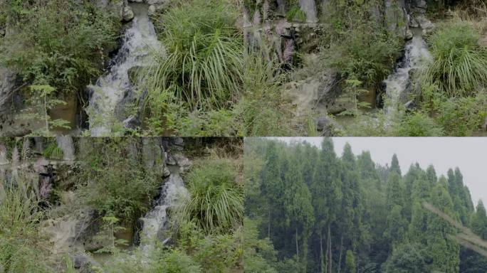 大自然溪水小瀑布水森林水源溪流风景