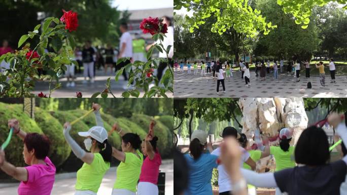 公园 健身操 晨练 夏季 广场舞