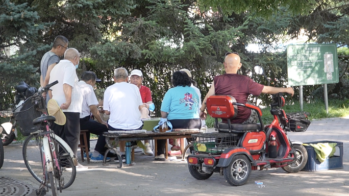 夏天老龄化老年退休养老生活带娃打麻将遛狗