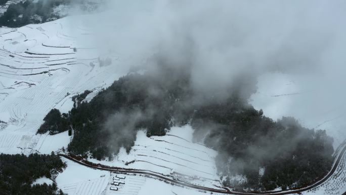 冬季雪景视频云雾下积雪覆盖梯田公路树林