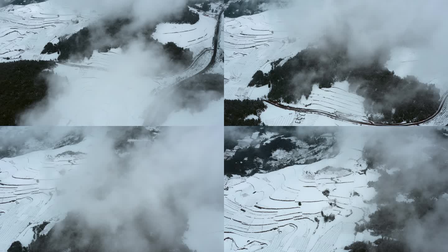 冬季雪景视频云雾下积雪覆盖梯田公路树林