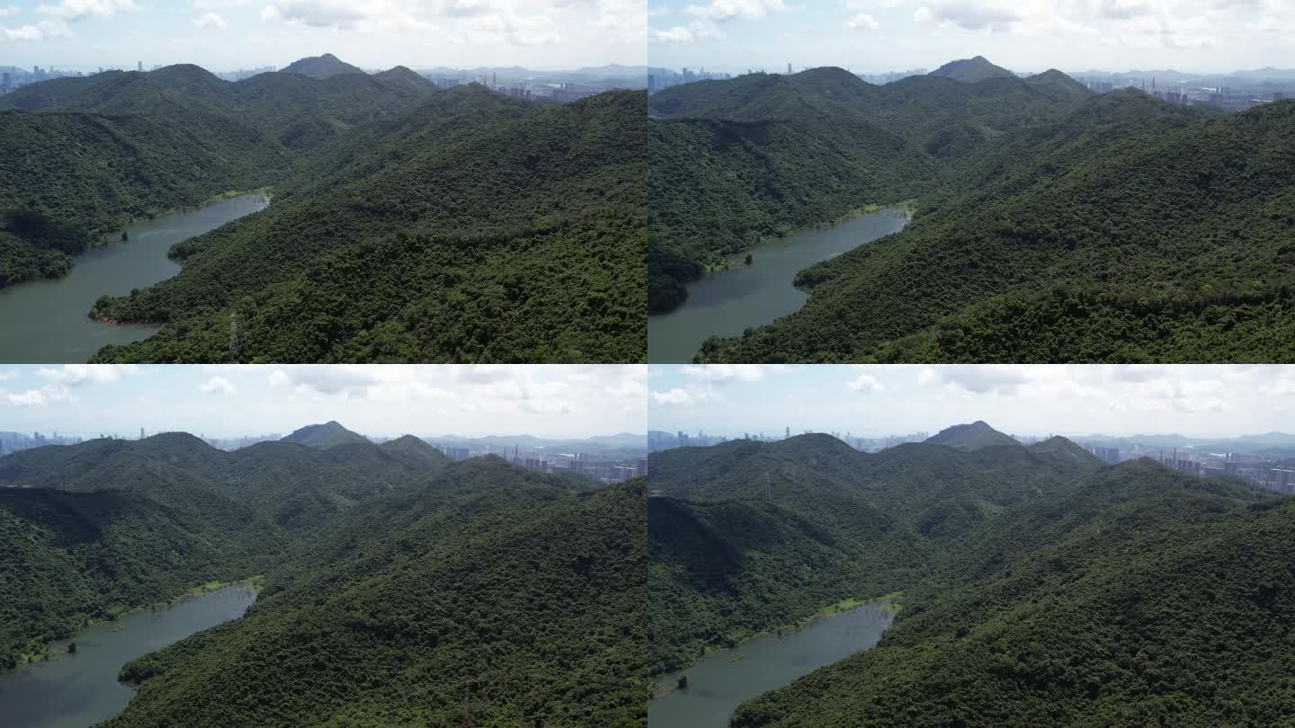 深圳梅林水库 塘朗山 梅林山