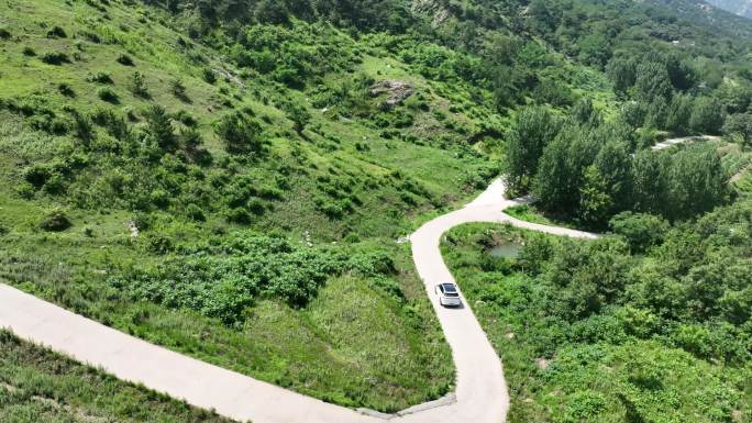 理想汽车山区弯道道路山路绿树