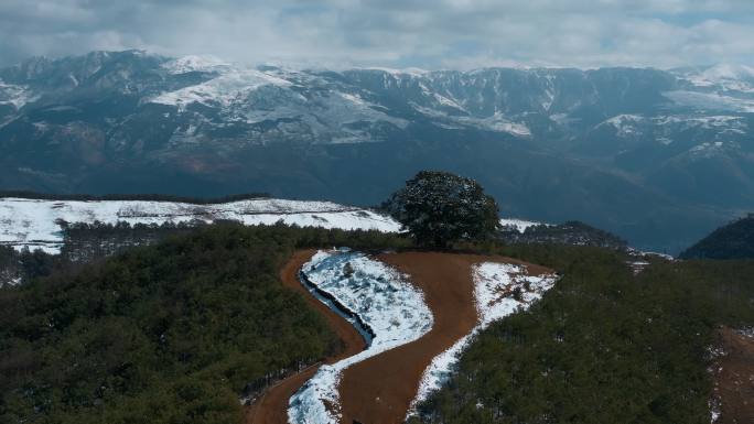 冬季云南红土地雪景积雪覆盖山川大地神树