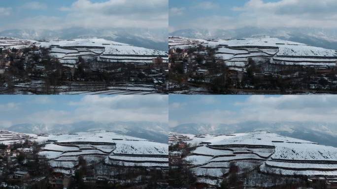 冬季雪景自然风光视频积雪覆盖田野树林村庄