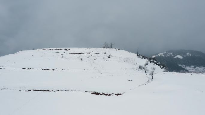 冬季雪山自然风光视频积雪覆盖的土地