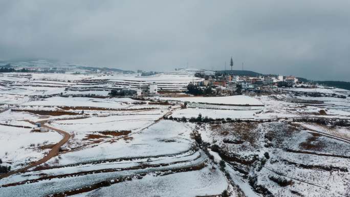 冬季雪景自然风光积雪覆盖耕地田野银白世界