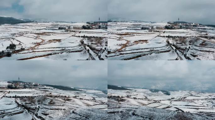 冬季雪景自然风光积雪覆盖耕地田野银白世界