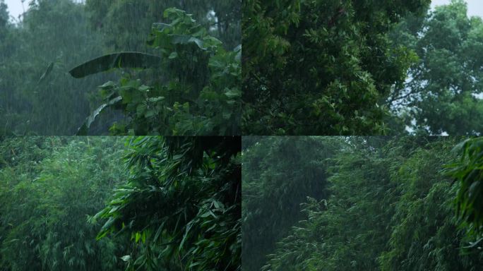 雨大雨暴雨