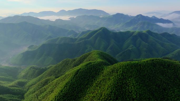 高山竹海云雾云海航拍含延时杭州余杭百丈镇