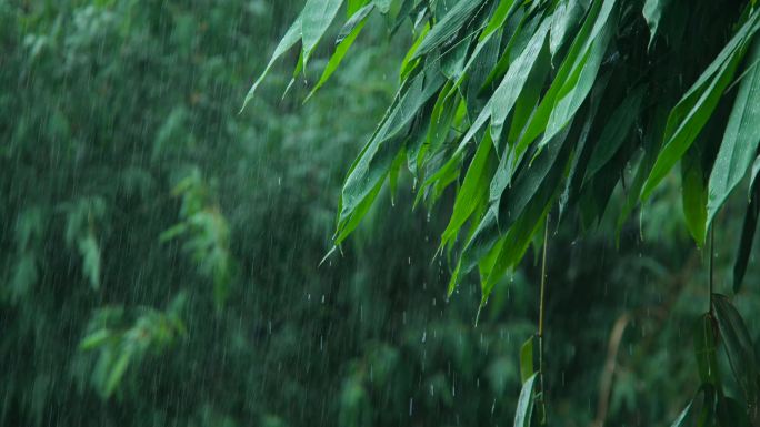 下雨暴雨狂风暴雨