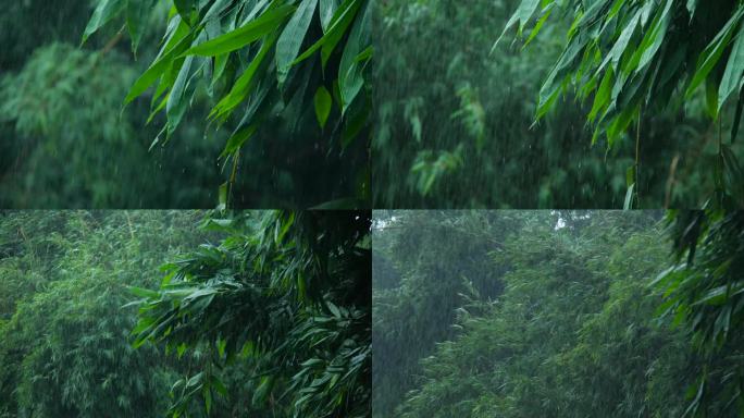 下雨暴雨狂风暴雨