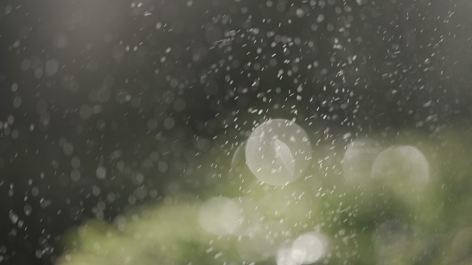 夏日 喷泉 浇水