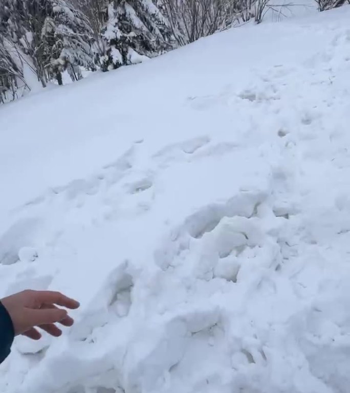 实拍东北雪景下雪雪地手部特写雾凇大雪