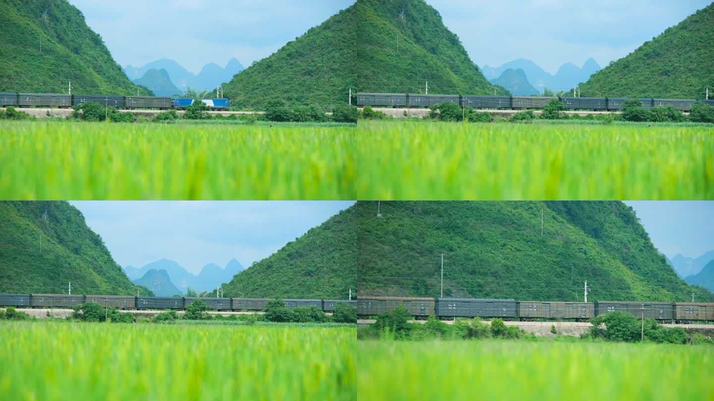 火车穿过稻田