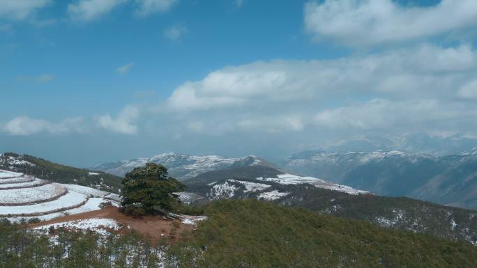 冬季云南红土地雪景自然风光雪山环绕的神树