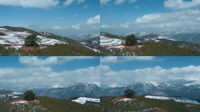 冬季云南红土地雪景自然风光雪山环绕的神树