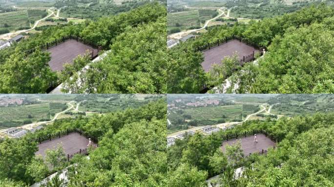 年轻的旅游女子在山顶徒步旅行 美女登山