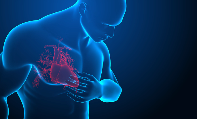 4K-三维人体捂心脏医疗 AE模板