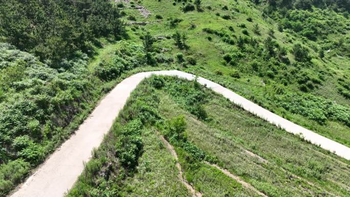 理想汽车山区弯道道路山路绿树