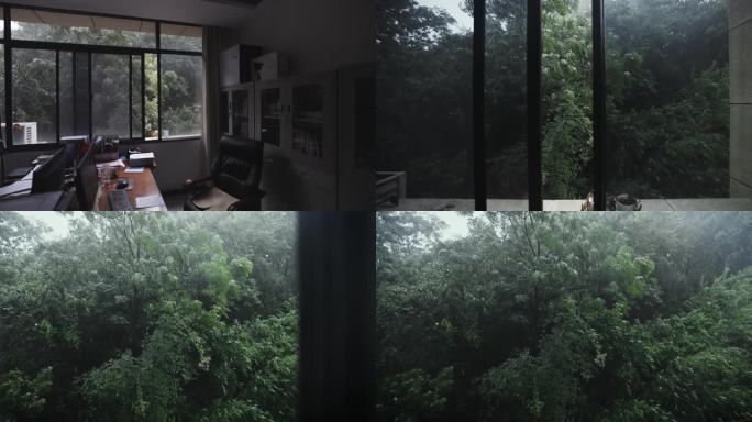 4k慢镜头窗外雨景雨打绿叶