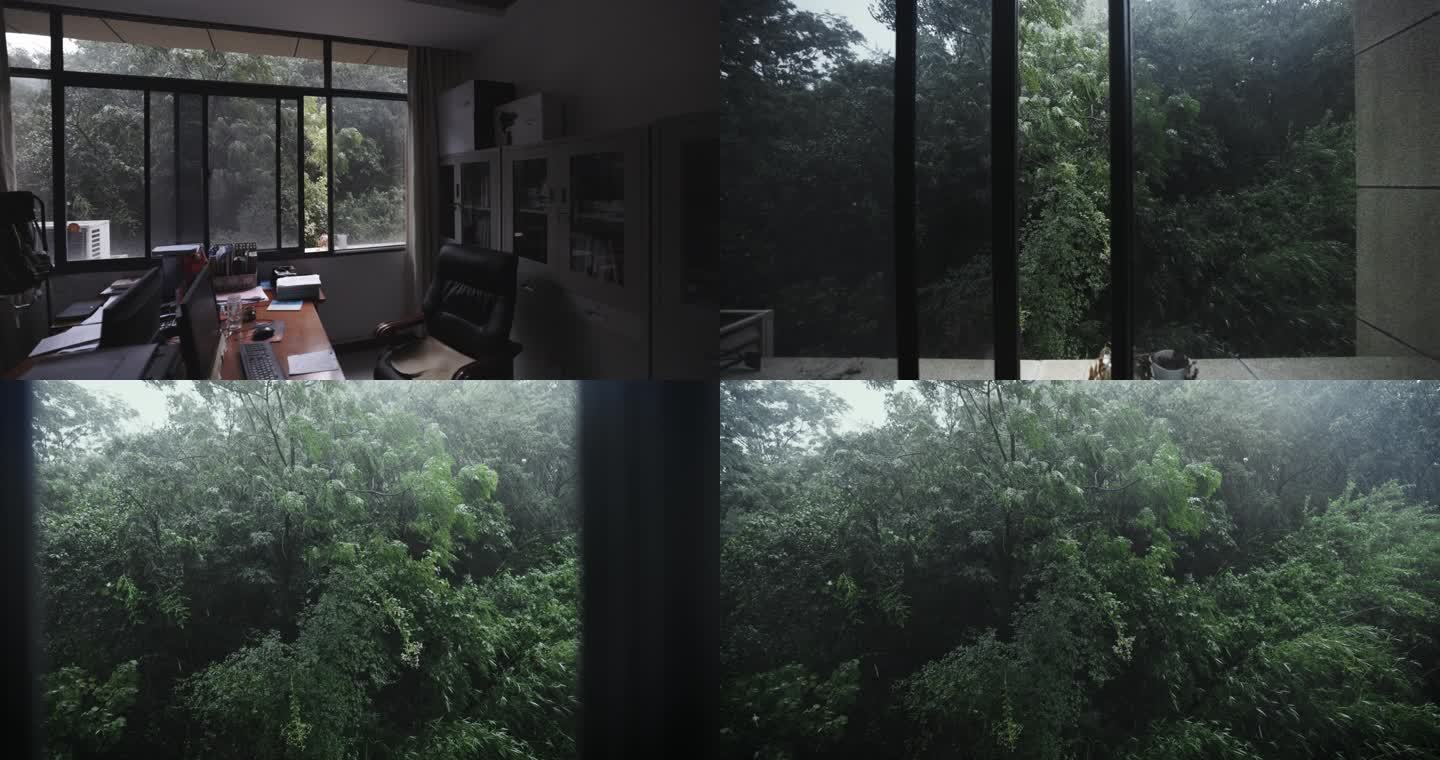 4k慢镜头窗外雨景雨打绿叶