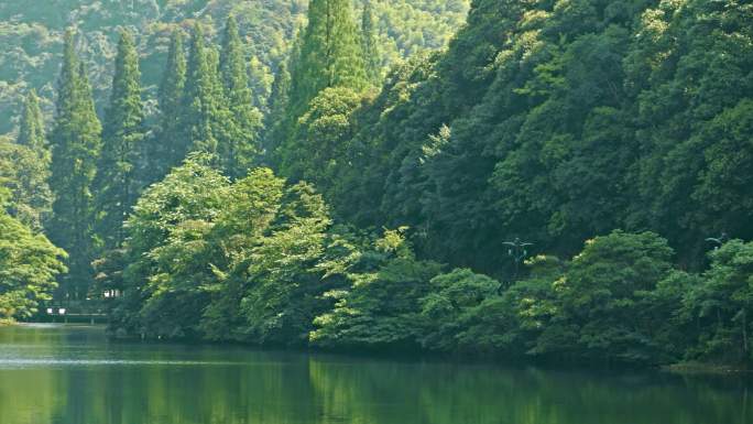 4K 宁海 温泉一角 山坳 湖水