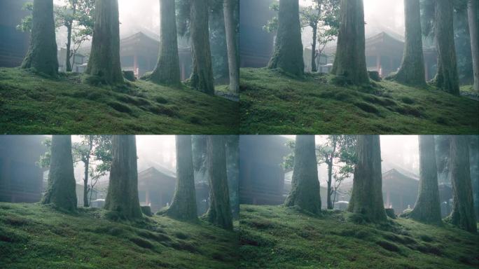 大雾中的树林，隐约有光线