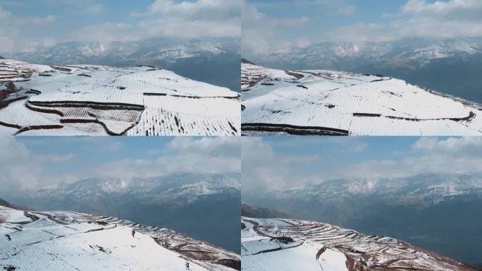 冬季雪景自然风光视频积雪覆盖耕地田野