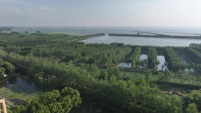 枣庄滕州微山湖红荷湿地公园