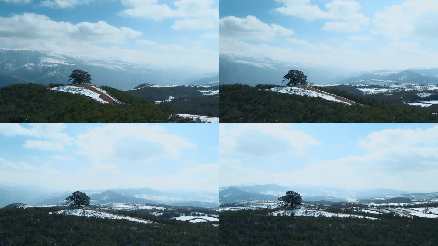 冬季云南红土地雪景视频雪山白云环绕的神树