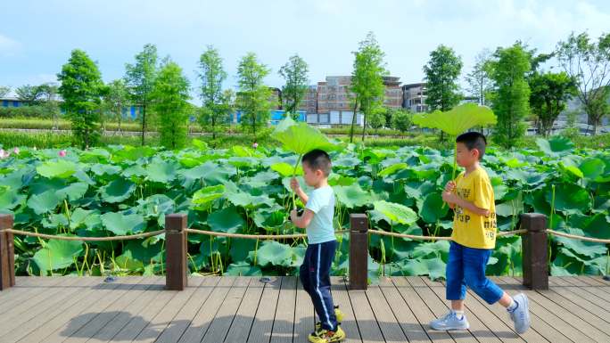 夏天小孩小朋友池塘边举着荷叶蹦蹦跳跳