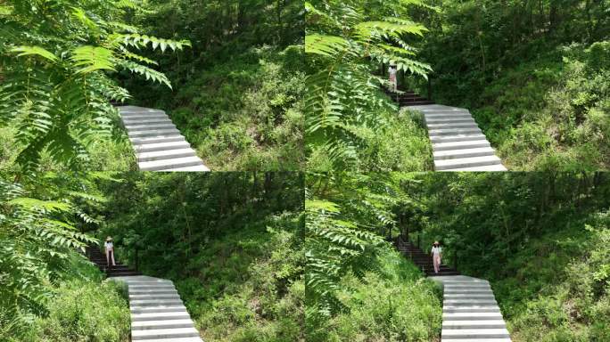 年轻的旅游女子在山顶徒步旅行 美女登山